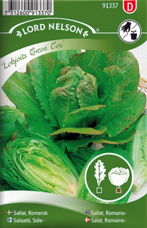 Rooma salat ‘Lobjoits Green Cos’