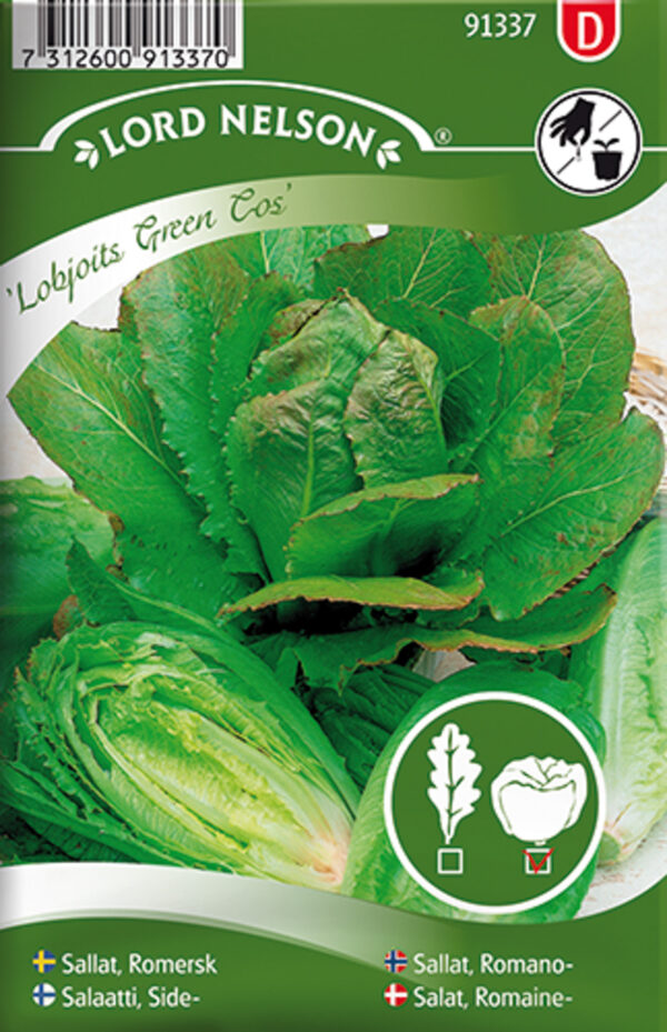 Rooma salat 'Lobjoits Green Cos'