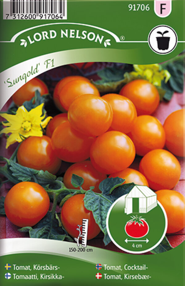 Kirsstomat 'Sungold' F1 kõrge 8s