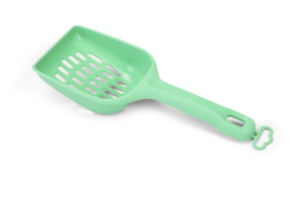 Kassiliiva kühvel roheline