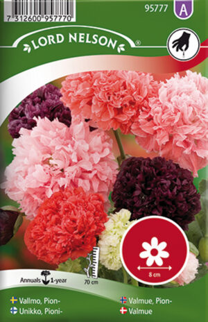 Pojengiõieline unimagun