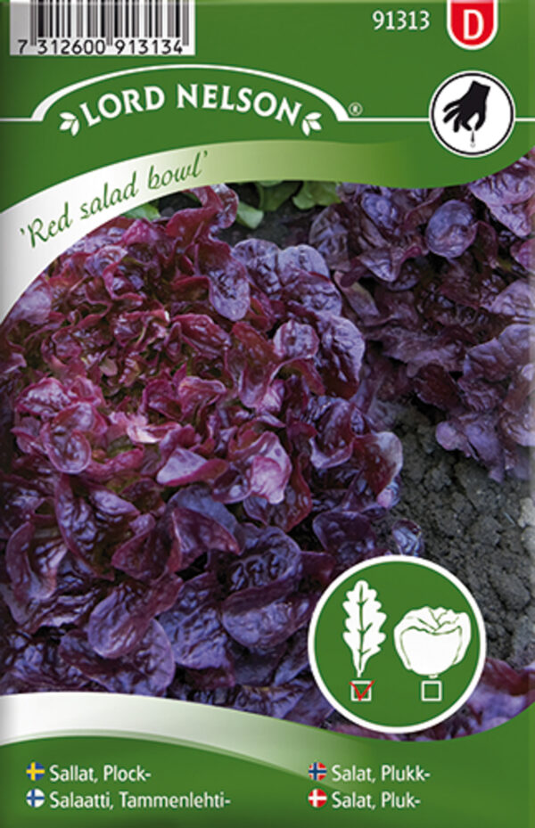 Lehtsalat 'Red Salad Bowl' 1040s