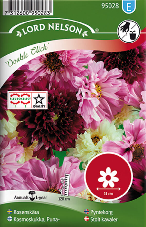 Kosmos 'Double Click'