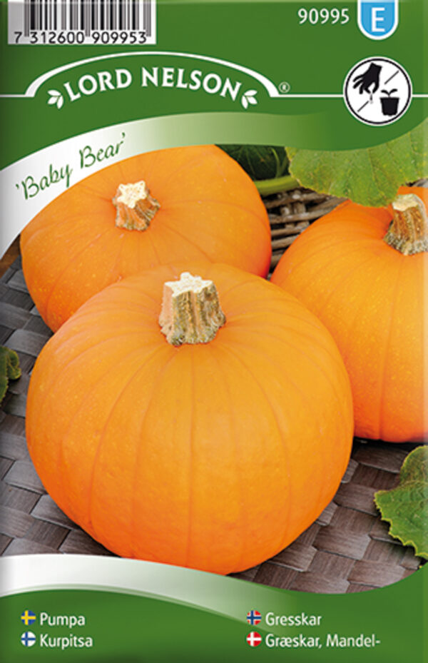 Kõrvits 'Baby Bear'