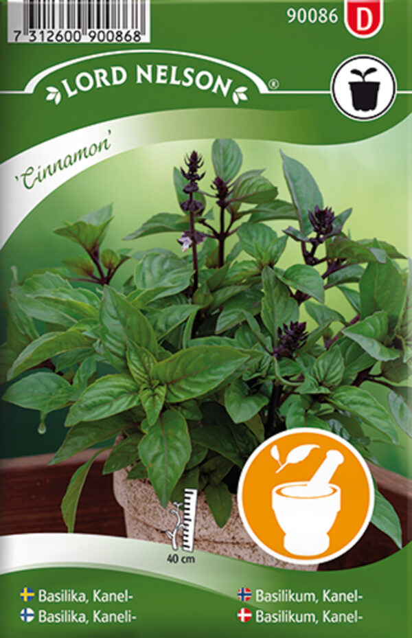 Vürtsbasiilik 'Cinnamon' 172s