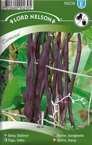 Aeduba ‘Carminat’