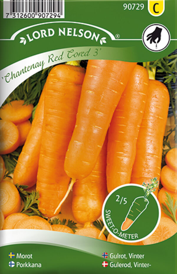 Porgand 'Chantenay Red Cored 3'