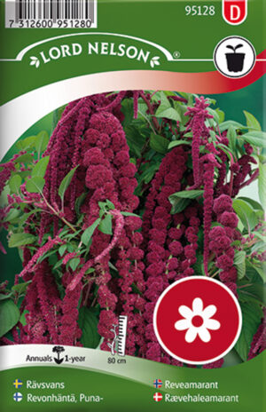 Longus rebashein 200s