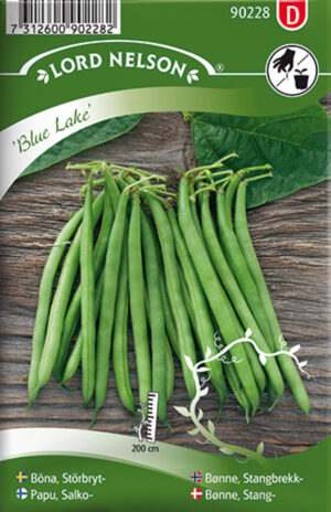 Lattuba ‘Blue Lake’