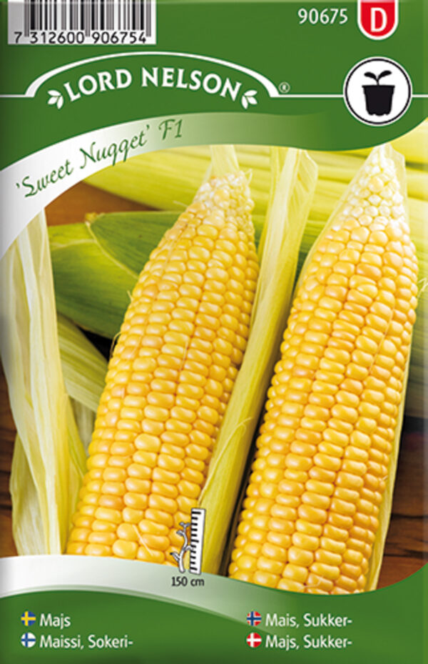 Suhkrumais 'Sweet Nugget' F1