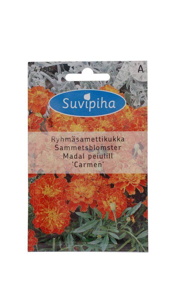 Madal peiulill 'Carmen' 130s
