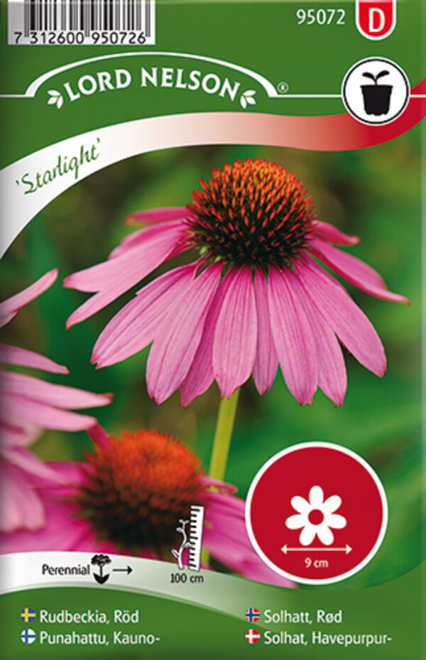 Punane siilkübar 'Starlight'