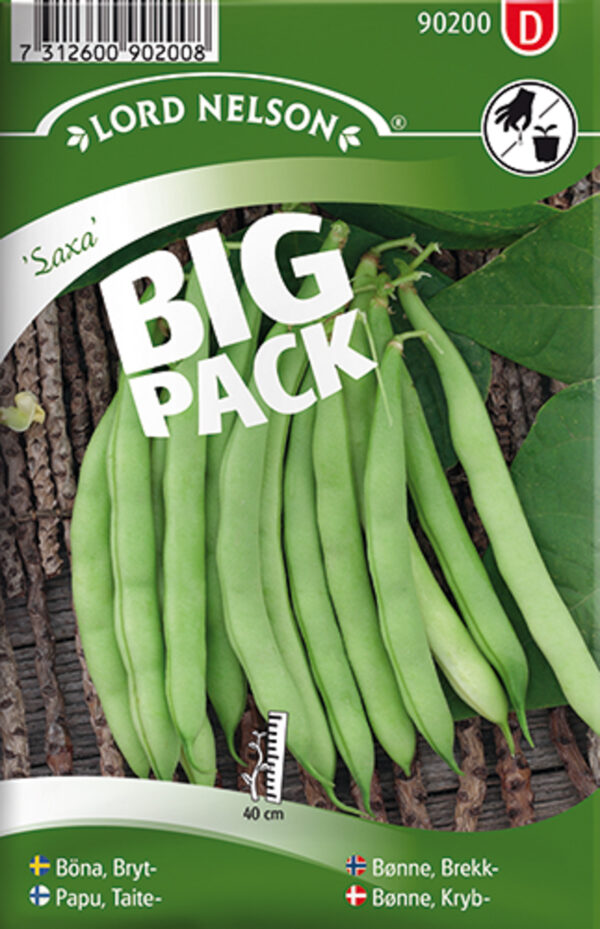 Aeduba 'Saxa' suur pakk