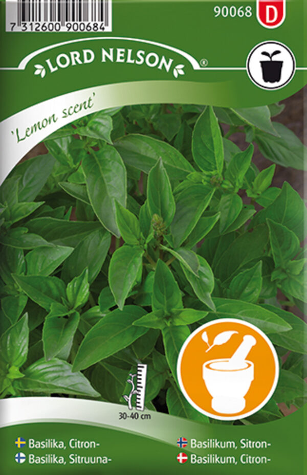 Sidrunbasiilik 'Lemon Scent' 180s