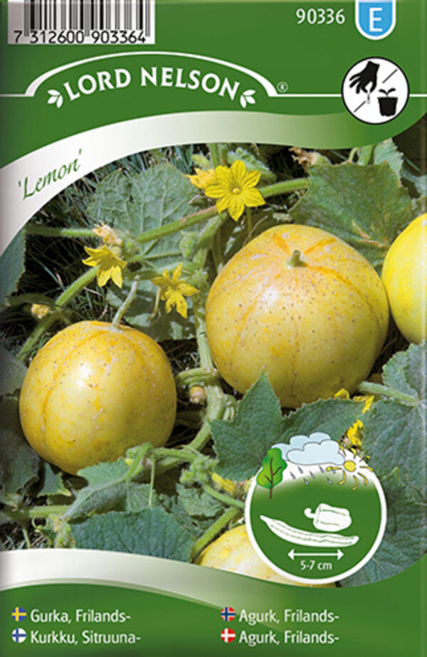 Kurk 'Iznik' F1 kasvuhoone 7s