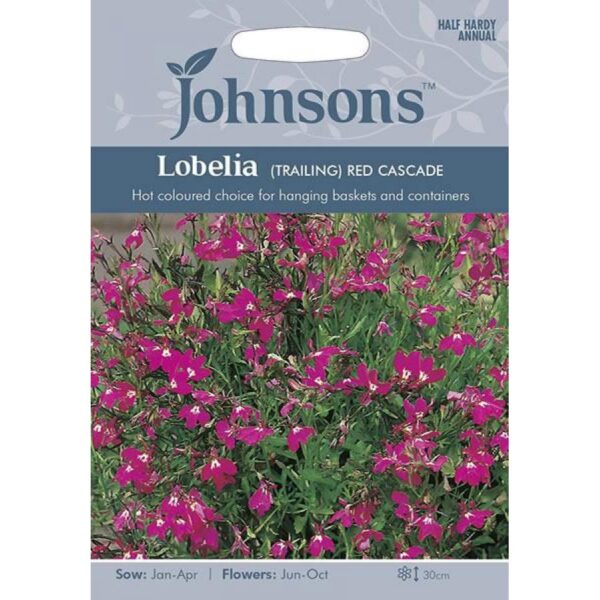 Lobeelia 'Red Cascade'