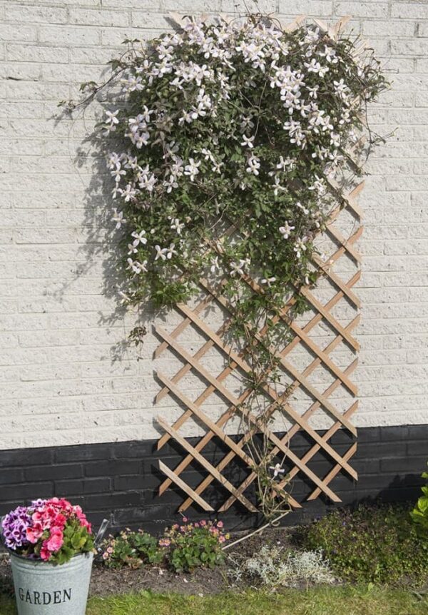 Võresein Nature puidust pruun 100x h300cm