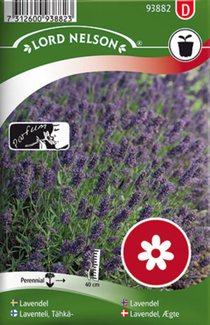 Tähklavendel 210s