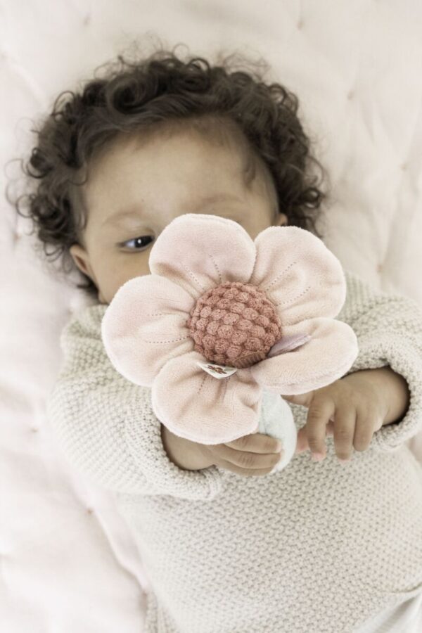 Kõristiga lill Fairy Garden 17x9x6,5cm