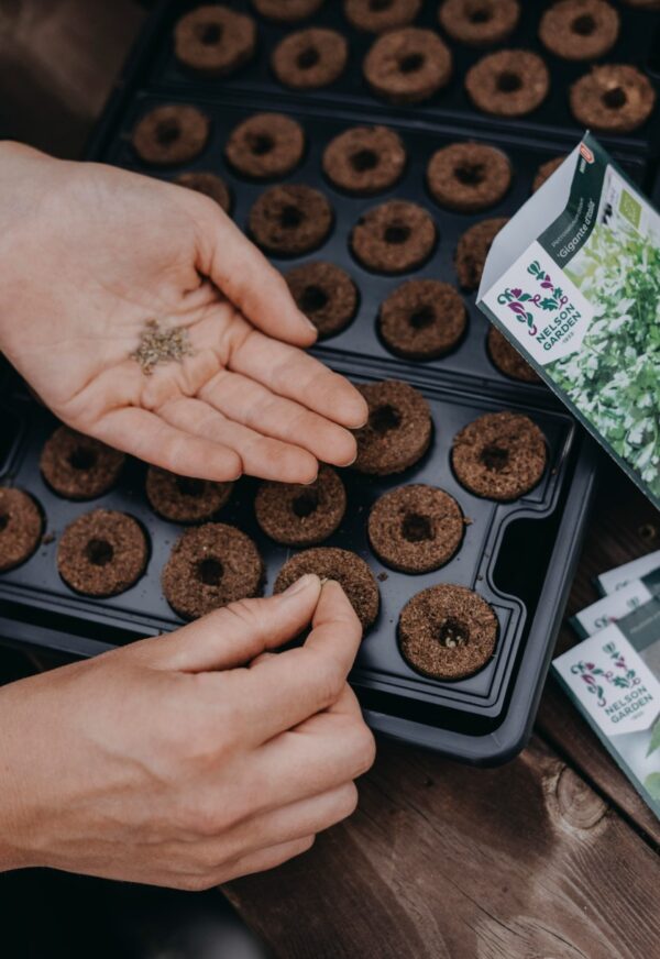 Külvikapslid Nelson Garden hüdropoonika 42tk