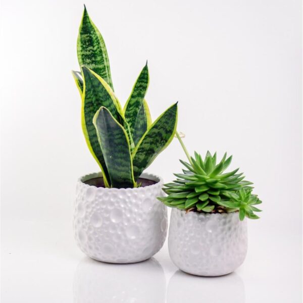 Lillepott Piano Ø18x h15cm valge