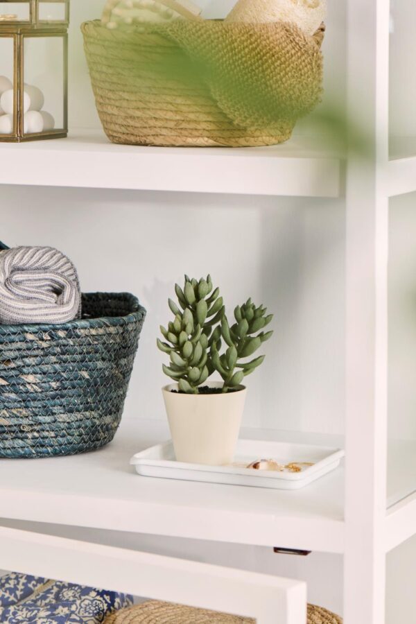 Kunsttaim sukulent potis erinevad 1tk