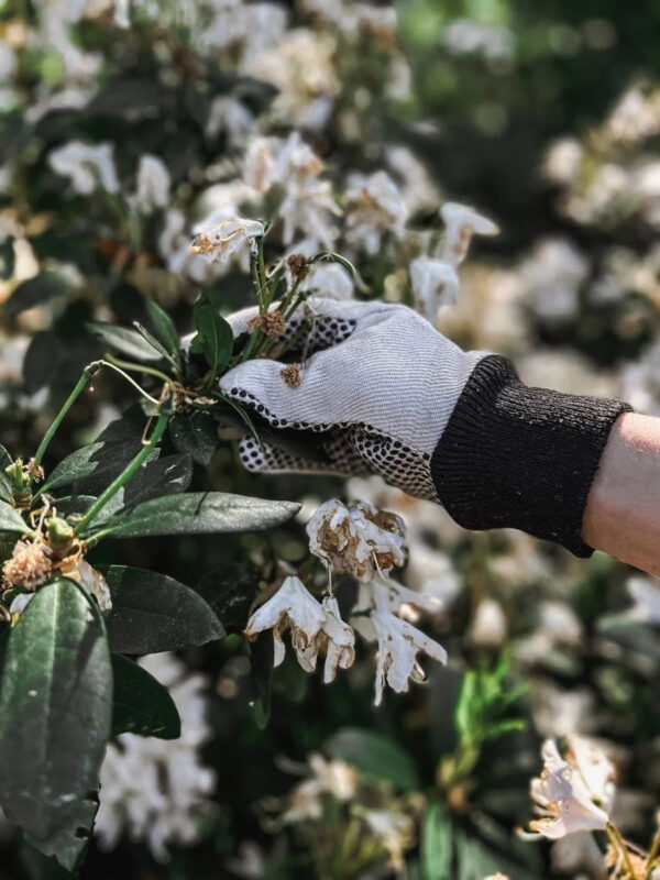 Töökindad Basic byBenson S