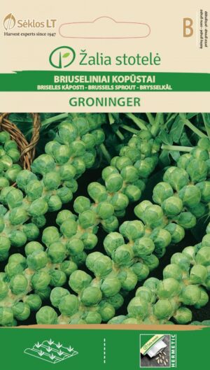 Rooskapsas ‘Groninger’