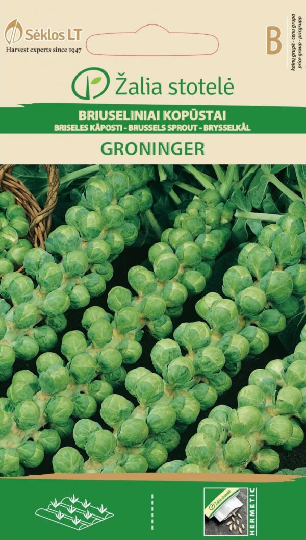 Rooskapsas 'Groninger'