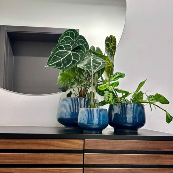 Lillepott Triibud Ø26x h18cm sinine