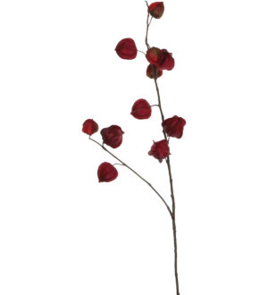 Mica kunstoks füüsal 94cm punane