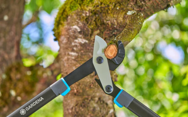 Oksatangid Gardena EnergyCut Pro L