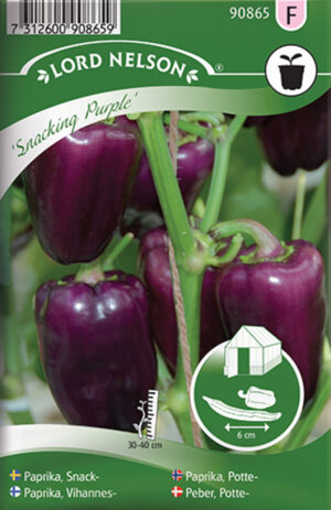 Magus paprika ‘Snacking Purple’
