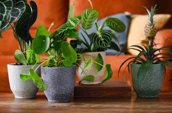 Lillepott Terrazzo Ø14x h14cm valge