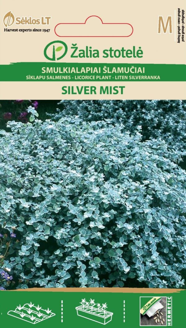 Ahtalehine käokuld 'Silver Mist'