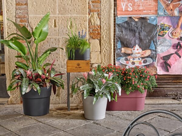 Lillepott Orione Ø29x h26cm antratsiit