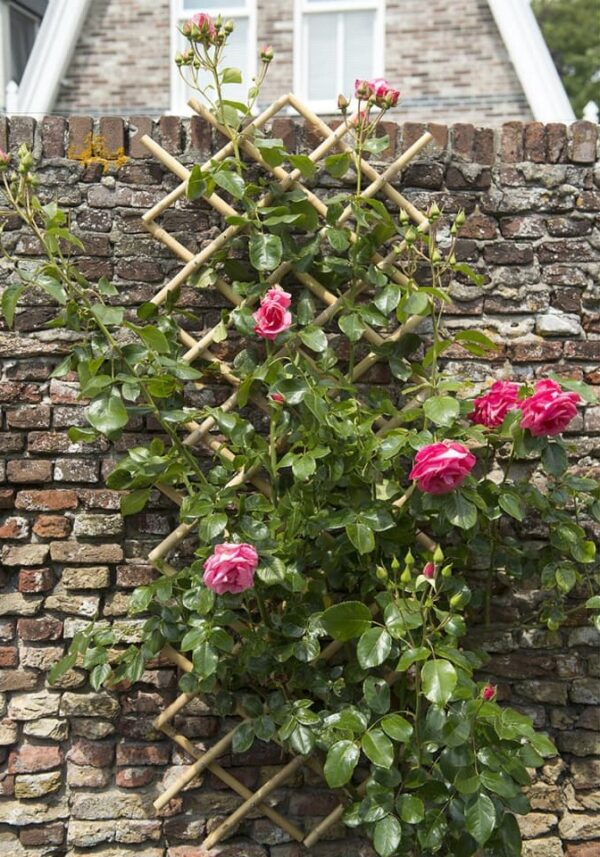 Võresein Nature bambus 45x h180cm