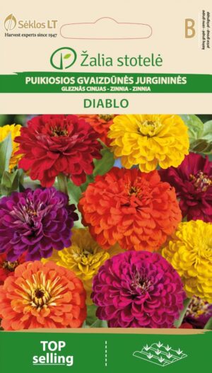 Pruudisõlg ‘Diablo’