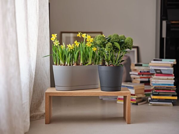 Lillepott Orione Ø19x h18cm antratsiit