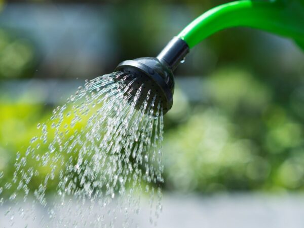 Kastekannu kastmisotsik Nature 3L must