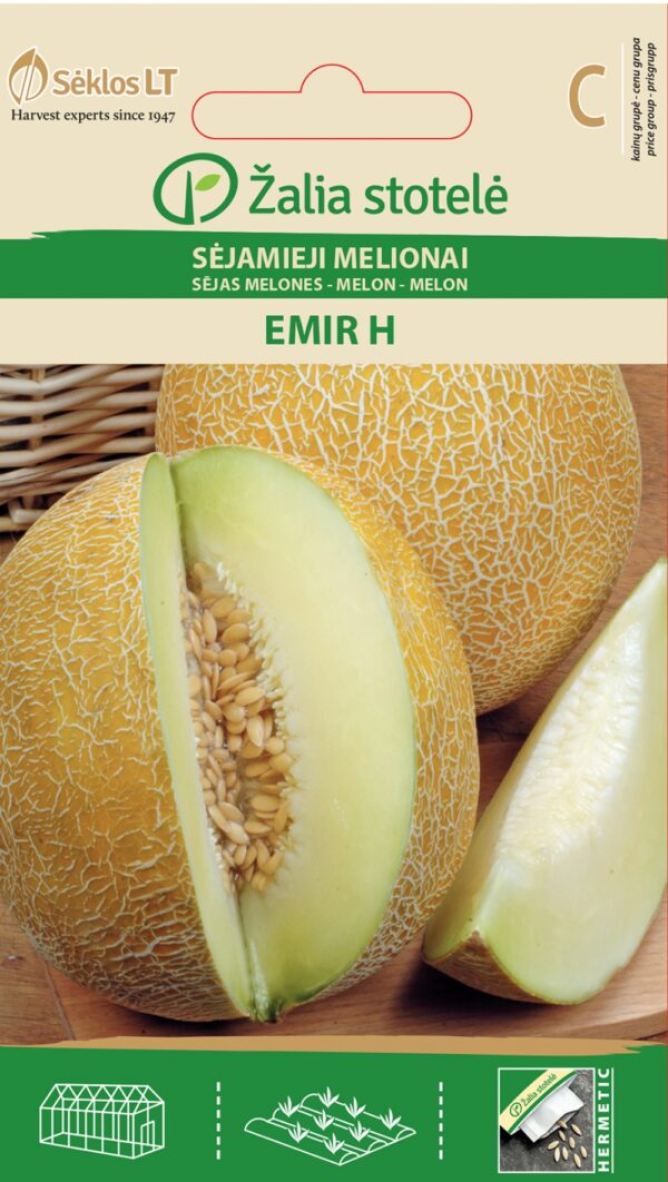 Melon 'Emir H'