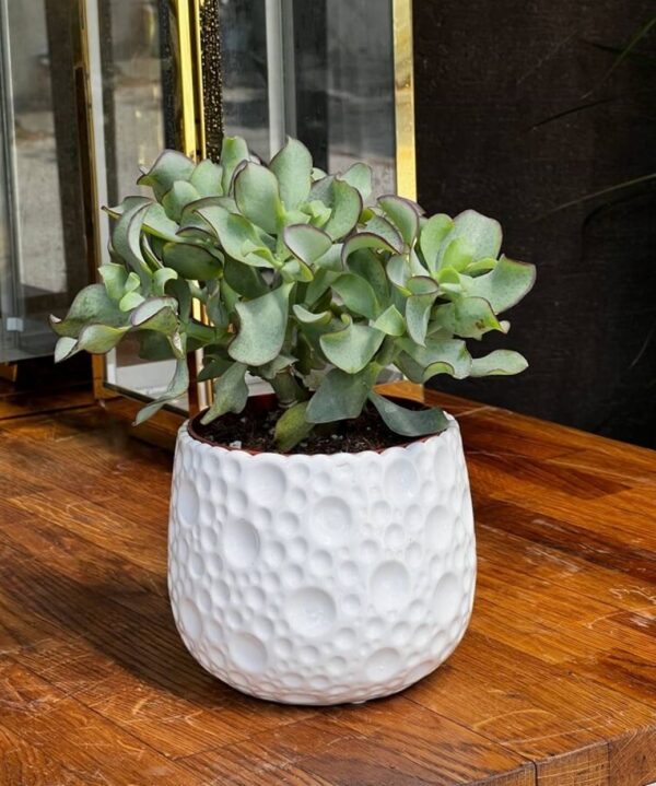 Lillepott Piano Ø18x h15cm valge