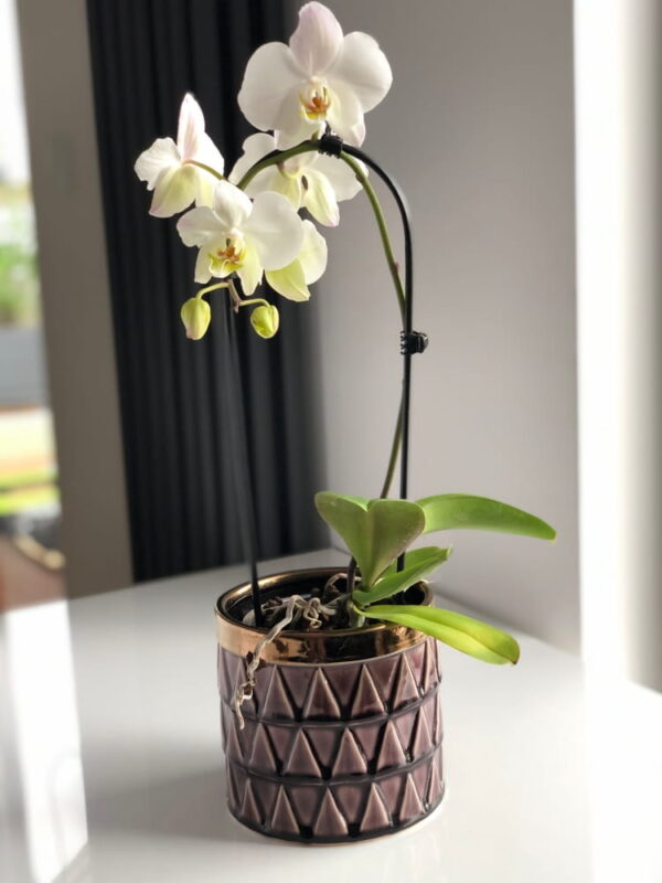 Lillepott Vintage Ø14x h14cm lilla