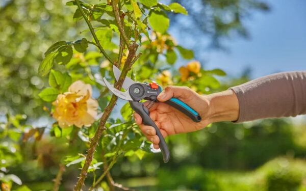 Oksakäärid Gardena PremiumCut Flex