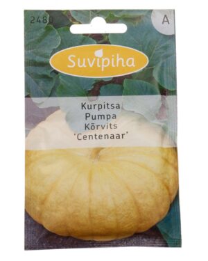 Suureviljaline kõrvits ‘Gele Centenaar’