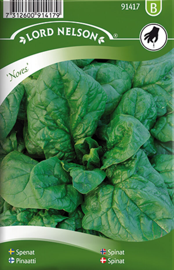Spinat 'Nores'