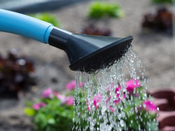 Kastekannu kastmisotsik Nature 5L must