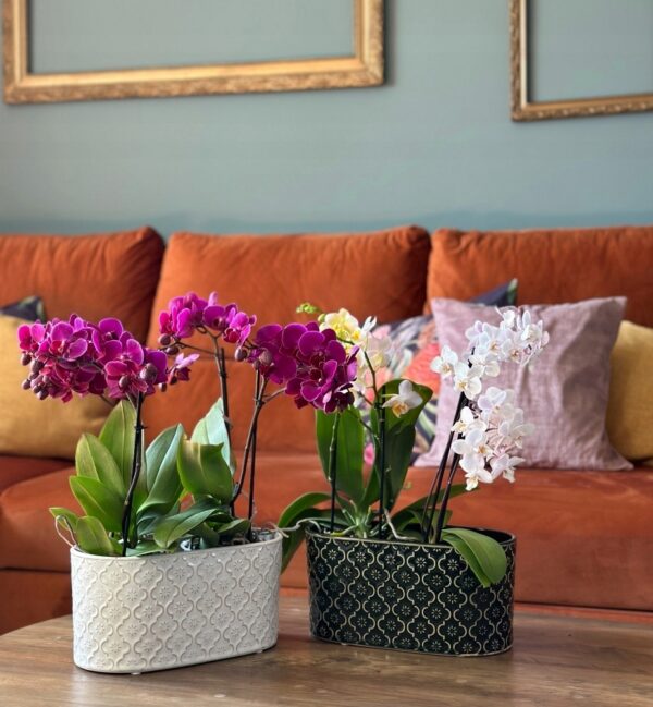 Lillepott muster Vintage 25x13x h12cm roheline