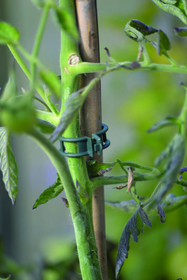 Kinnitusklambrid Strong 12tk/pk