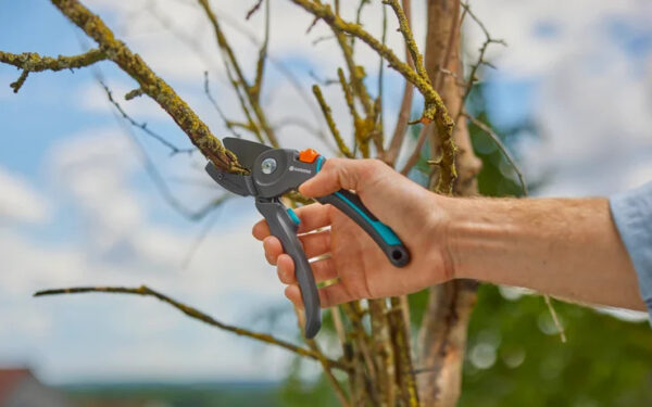 Oksakäärid Gardena PremiumCut Pro​ Dry Wood